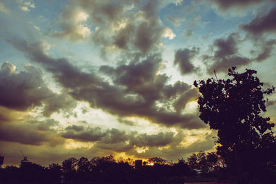 Low angle view of silhouette trees against sky during sunset