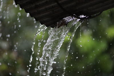 Close-up of water drops on plant