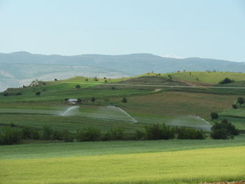 Scenic view of field against clear sky