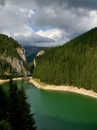 Scenic view of river by tree mountains against sky