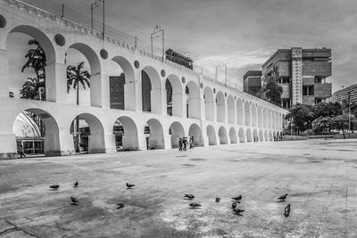 Birds perching on street against sky