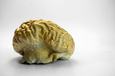 Close-up of cupcake on table against white background