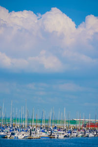 Boats in harbor