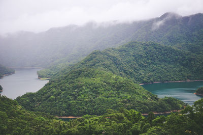 Scenic view of mountains in forest