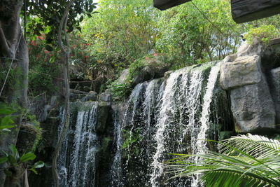 Scenic view of waterfall in forest