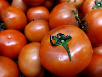 Close-up of tomatoes for sale in market