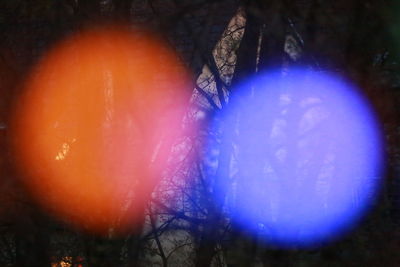 View of illuminated trees at night