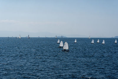 Sailboat sailing on sea against sky