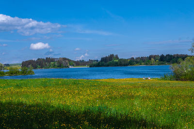 Scenic view of field against sky