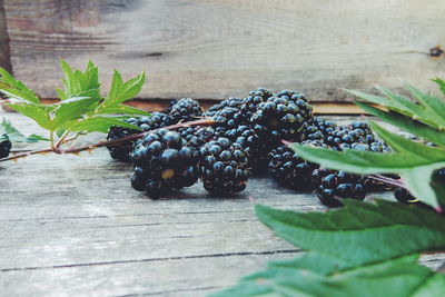 Close-up of blackberries on wood