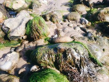 High angle view of rocks in river