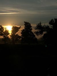 Silhouette trees on field against sky at sunset