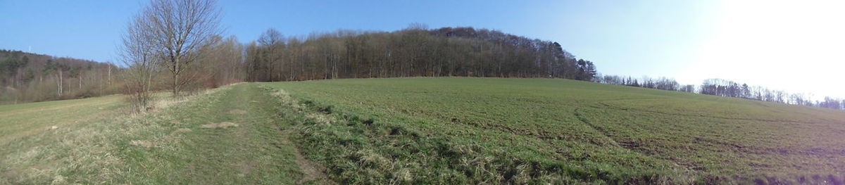 Panoramic view of green landscape against sky