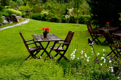 Chairs and table in lawn