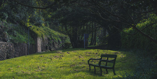 Empty bench in park