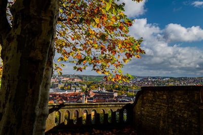 Trees and buildings against sky during autumn