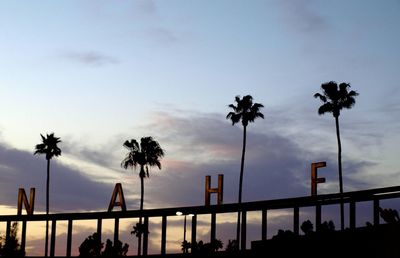 Low angle view of palm trees against sky