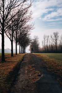 Empty road amidst bare trees on field against sky