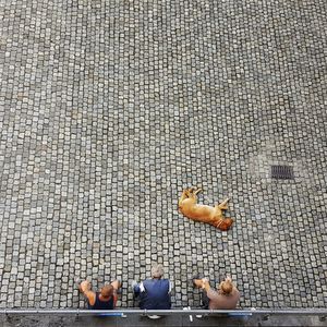 High angle view of people sitting on footpath