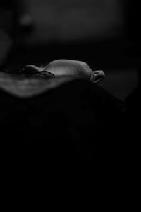 Close-up of mid adult man over black background
