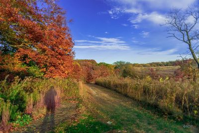 Scenic view of landscape against sky