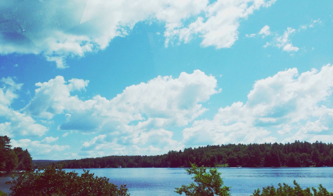 tranquil scene, tree, tranquility, sky, scenics, beauty in nature, water, nature, cloud - sky, lake, blue, idyllic, cloud, reflection, growth, day, non-urban scene, cloudy, outdoors, no people