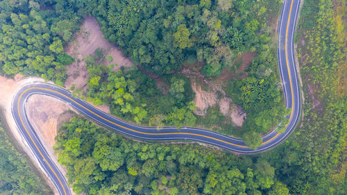 Aerial view of winding road amidst trees in forest