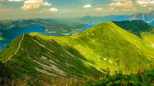 Scenic view of landscape against sky