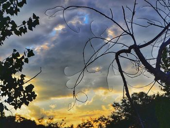 Low angle view of trees against sky at sunset