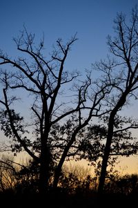 Silhouette bare trees in forest against clear sky