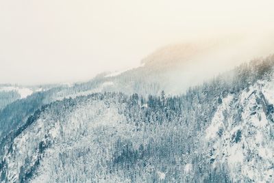 Scenic view of snow covered landscape