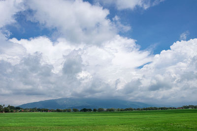 Scenic view of landscape against sky