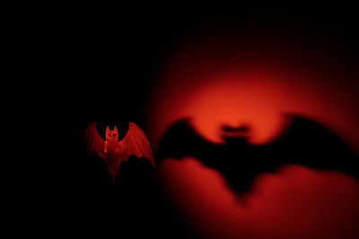 Wooden bat hanging against shadow on wall during halloween