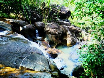 Stream flowing through rocks in forest