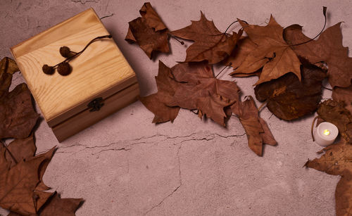 High angle view of maple leaves on table