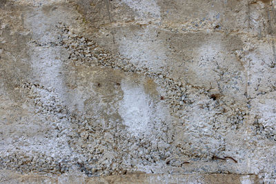 wall