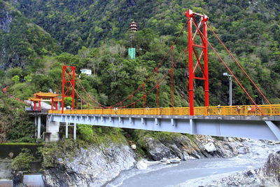 Bridge over river in forest