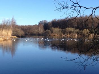 Scenic view of calm lake against clear sky