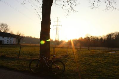 Bicycle in park during sunset