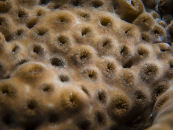 Full frame shot of sea