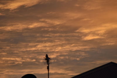 Low angle view of bird flying against cloudy sky