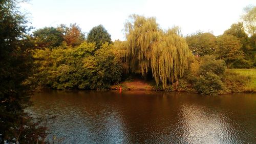 Scenic view of lake in forest against sky