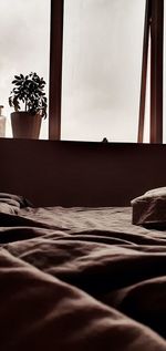 View of empty bed