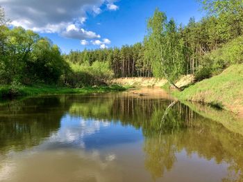 Scenic view of lake in forest against sky