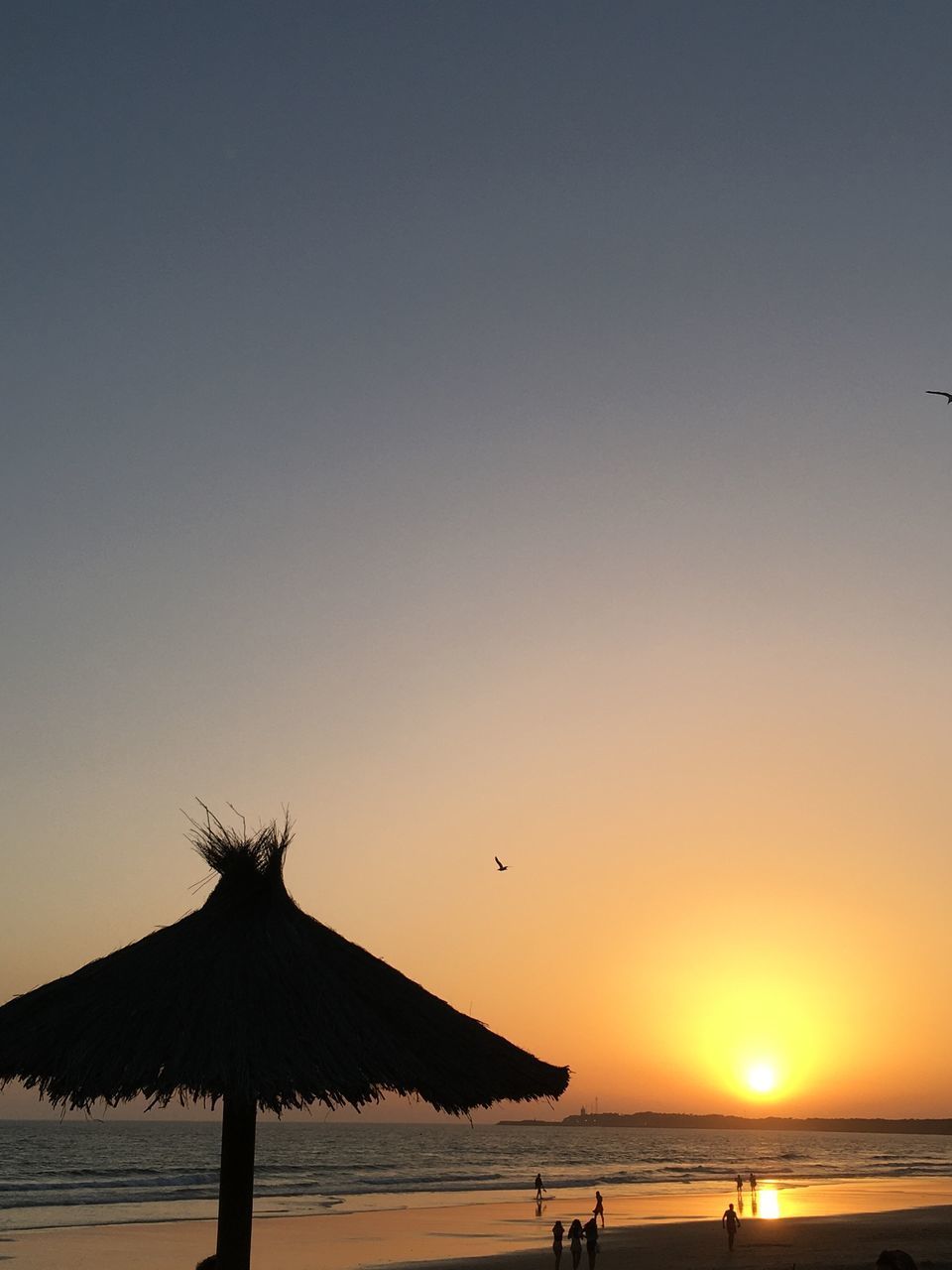 SCENIC VIEW OF SEA DURING SUNSET