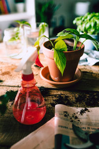 Close-up of drink on table