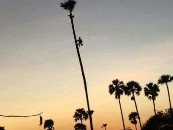 Silhouette palm trees against sky during sunset