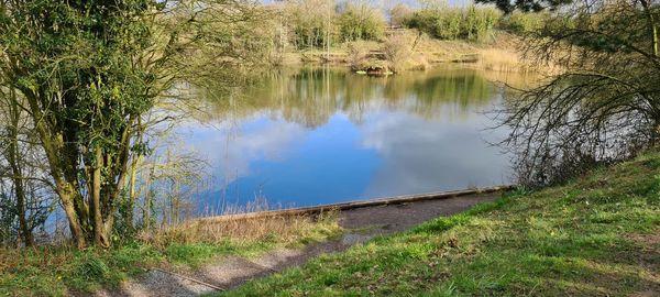 Scenic view of lake by trees