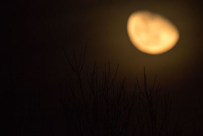 View of moon at night