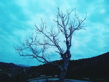 Low angle view of bare trees against sky